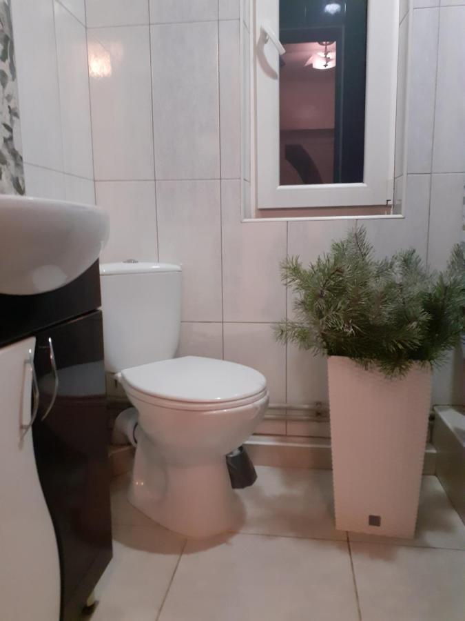 Guest House Viktoria Γιαρέμτσε Εξωτερικό φωτογραφία