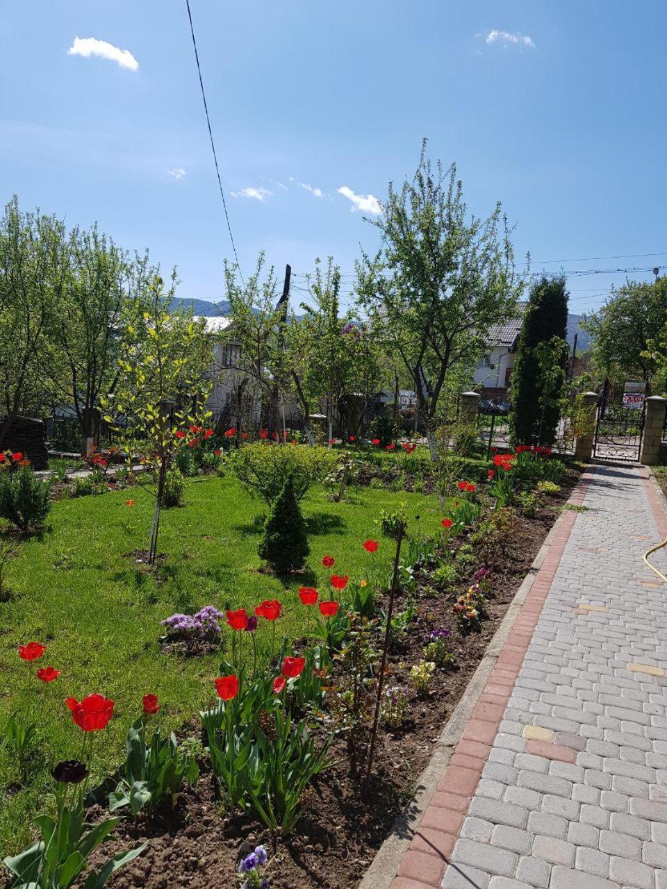 Guest House Viktoria Γιαρέμτσε Εξωτερικό φωτογραφία